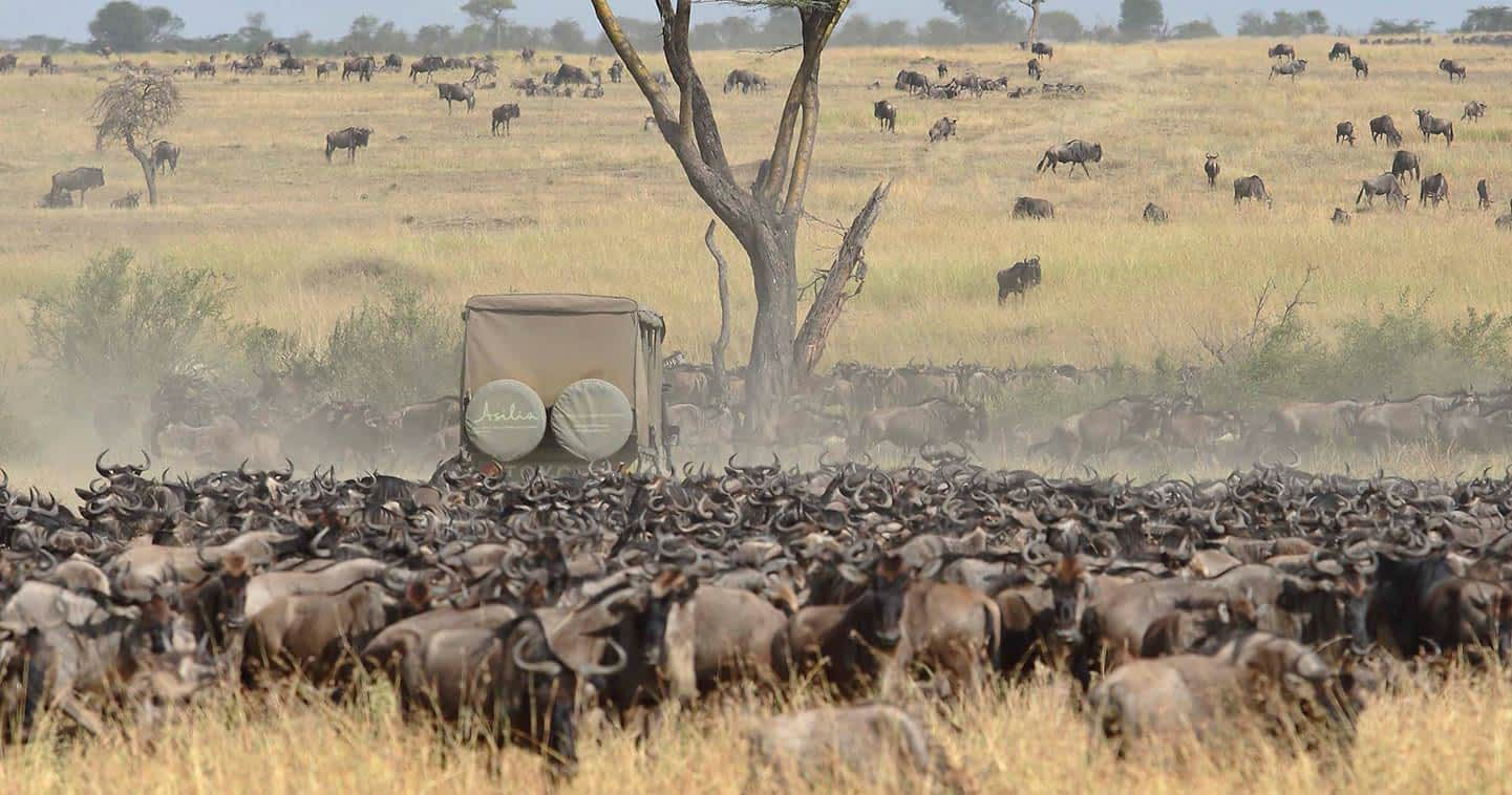 Serengeti National Park